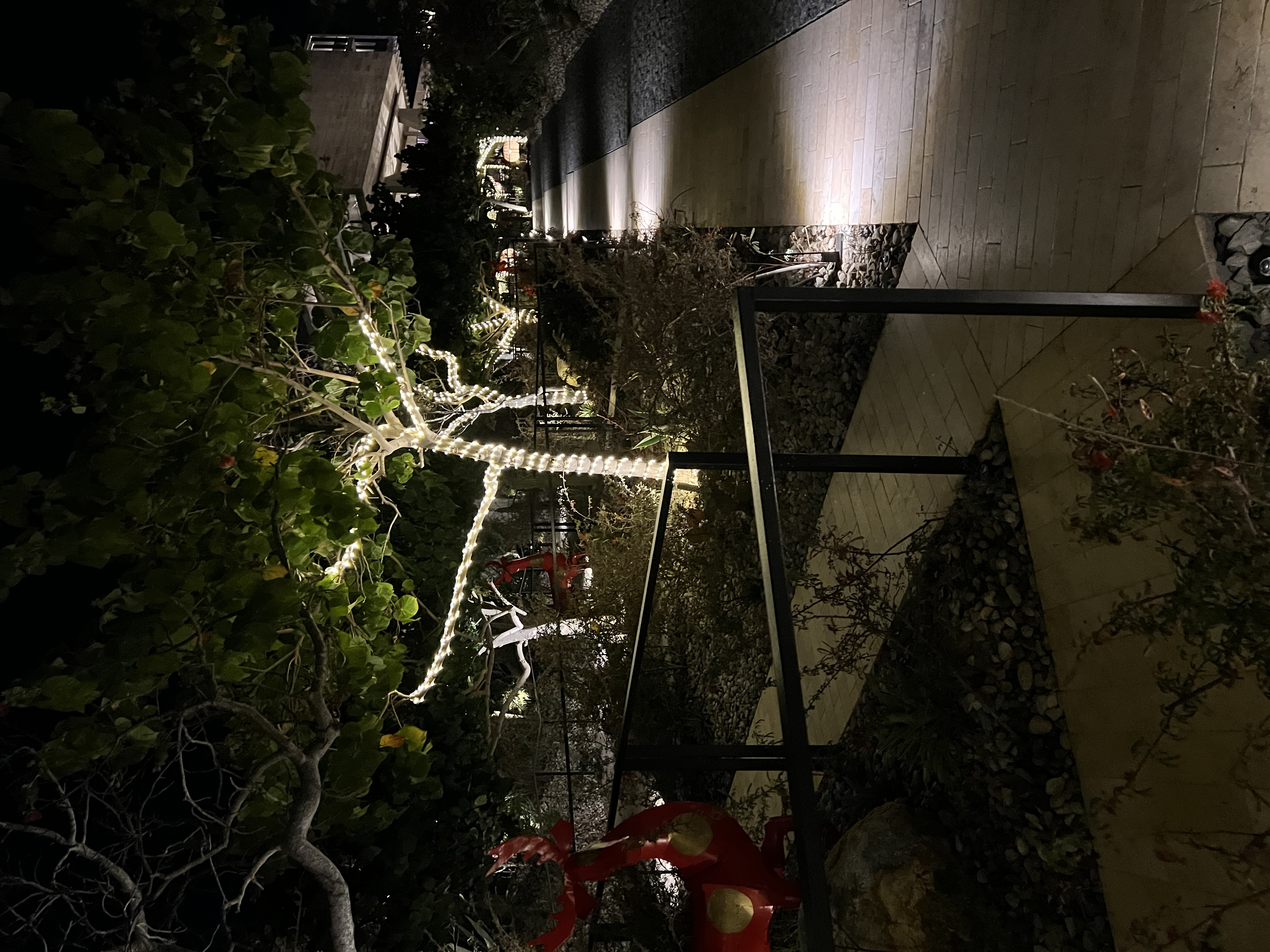 ./2024/13 - Cabo/IMG_4179.jpg